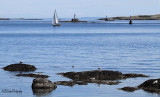 Sailing off the Point