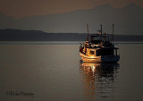 Evening Scene