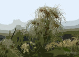 Weedy Landscape
