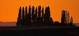 Sunset at the Ranch