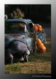 Seasonal Happenings