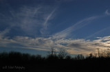 Evening Sky