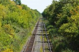 CN train tracks- looking east