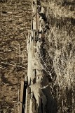 Drought-proof fence