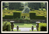 The Maze