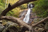 Dill Falls 1