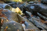 Bonas Defeat Gorge 8