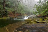 December 27 - Daniel Ridge Loop Trail