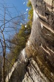 Horseshoe Falls 2