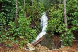 waterfall on FR367