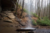 Moore Cove Falls 3