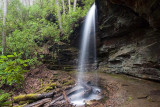 Little Moore Cove Falls 1