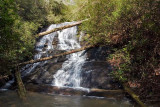 April 11 - Lohrs and Yellow Branch Falls, South Carolina
