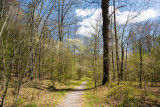 April 24 - Daniel Ridge Loop Trail