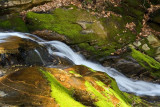 Upper Courthouse Creek 7