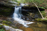 Upper Courthouse Creek 12