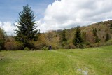 Grayson Highlands State Park 20