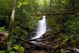 waterfall on Dryland Laurel Branch 1