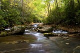 Pisgah National Forest 5