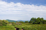Craggy Gardens 2