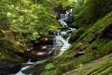 Roaring Fork Falls 2