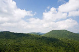 Ivestor Gap Trail 1