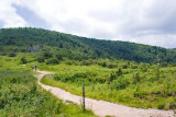 Ivestor Gap Trail 2