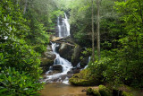 July 10 - East Fork Headwaters Tract