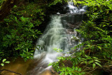 East Fork Headwaters Tract 2