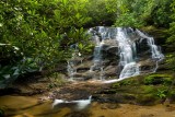 East Fork Headwaters Tract 3