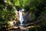 Bearwallow Creek - Nantahala NF 4