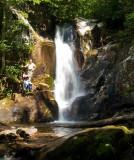 Bearwallow Creek - Nantahala NF 5