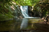 Bearwallow Creek - Nantahala NF 10