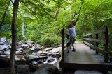 Chimney Tops Trail 6