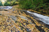 Piney Mountain Creek 7