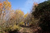 Max Patch Mountain 2