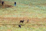 Cades Cove Day 4 - 8