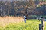 Cades Cove Day 5 - 13