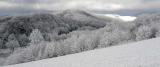 view from Max Patch Mountain 1