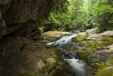 Steels Creek 3