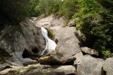 Steels Creek 7