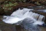 Howard Creek 5