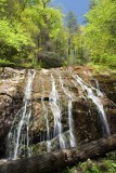 Glen Burney Falls 2