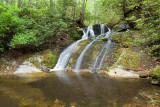 waterfall on Thorps Creek 1