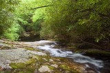 North Harper Creek 3
