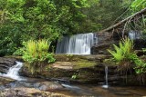 Fall Creek Falls 5