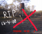 davids9point.jpg
