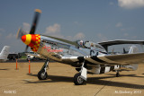 P51 D,  at the Knoxville, Tennessee airport 