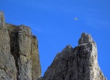 IMG_0971.jpg