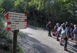 IMG_1129.jpg